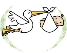 babystork2.jpg