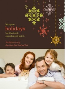 Cute Snowfalkes Holiday Photo Card