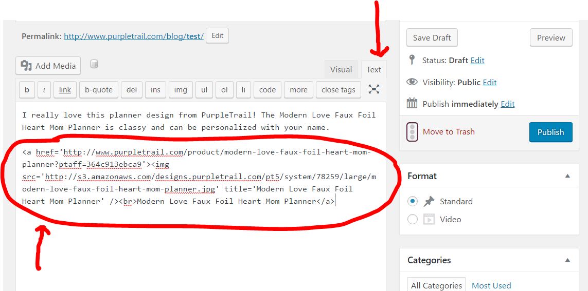 Amazon Affiliate Link Example