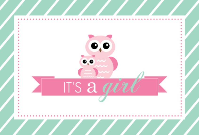 Mint Stripes And Pink Owls Girl Baby Shower Invitation