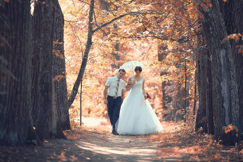 Fall Wedding Themes Harvest Enchanted Forest Halloween